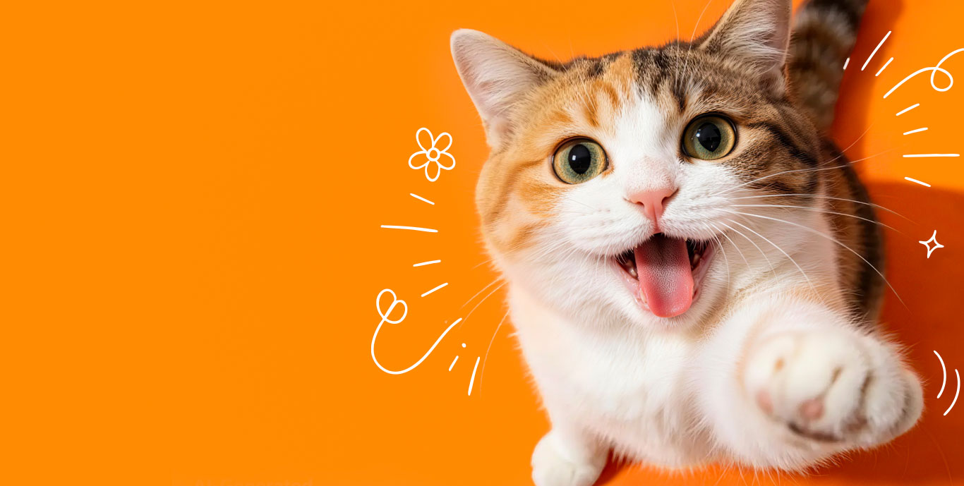 Your Premier Partner in Global Pet Food Manufacturing