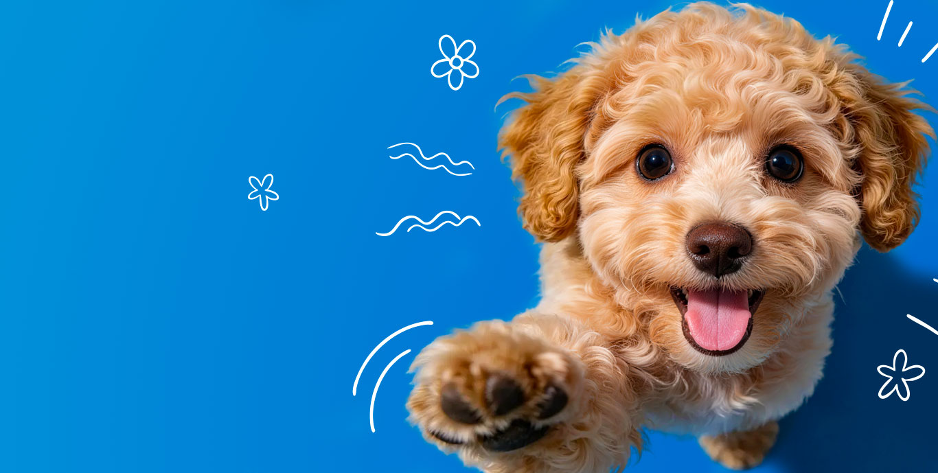 5,000+ SKUs, Full-Category Pet Food Coverage