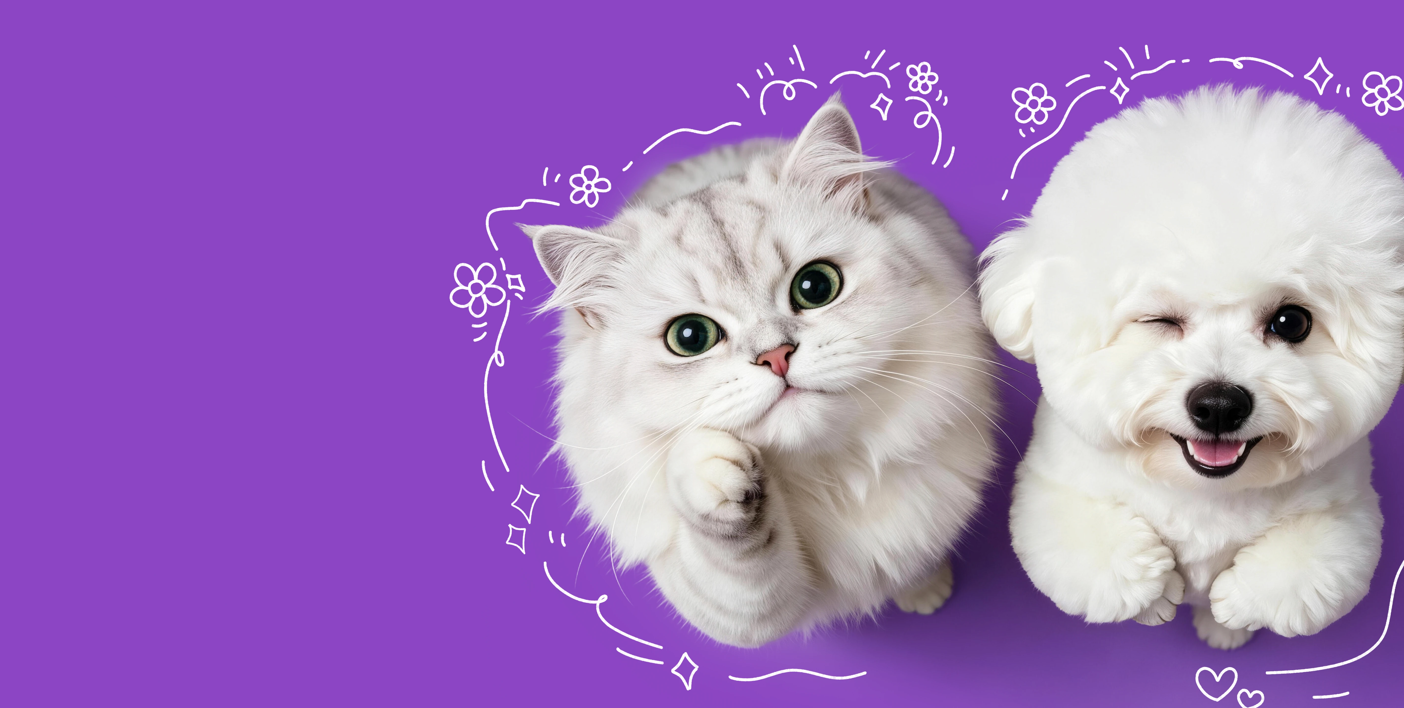 5,000+ SKUs, Full-Category Pet Food Coverage