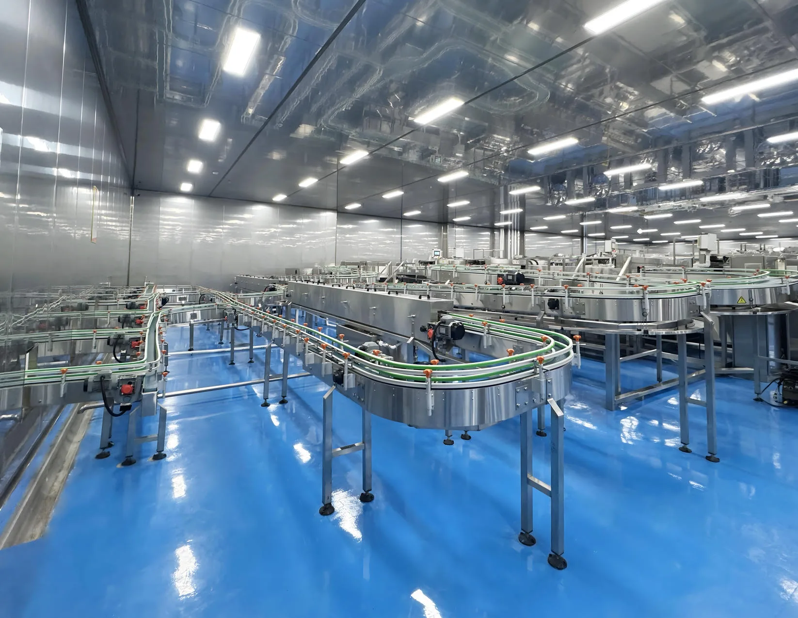 Extruded Dry Food Line